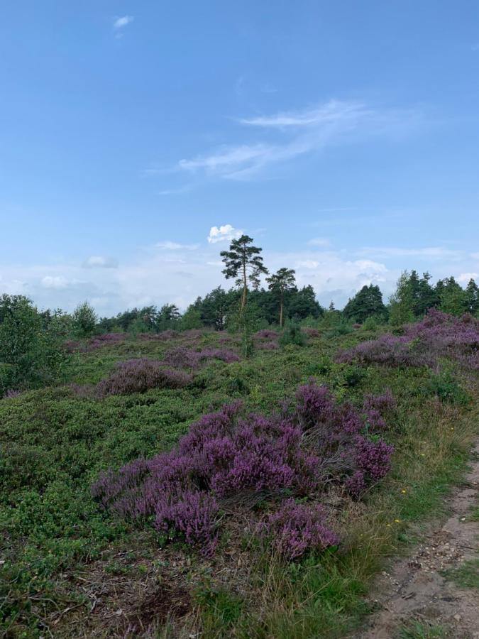 Bed and Breakfast Haarles Landleven Экстерьер фото