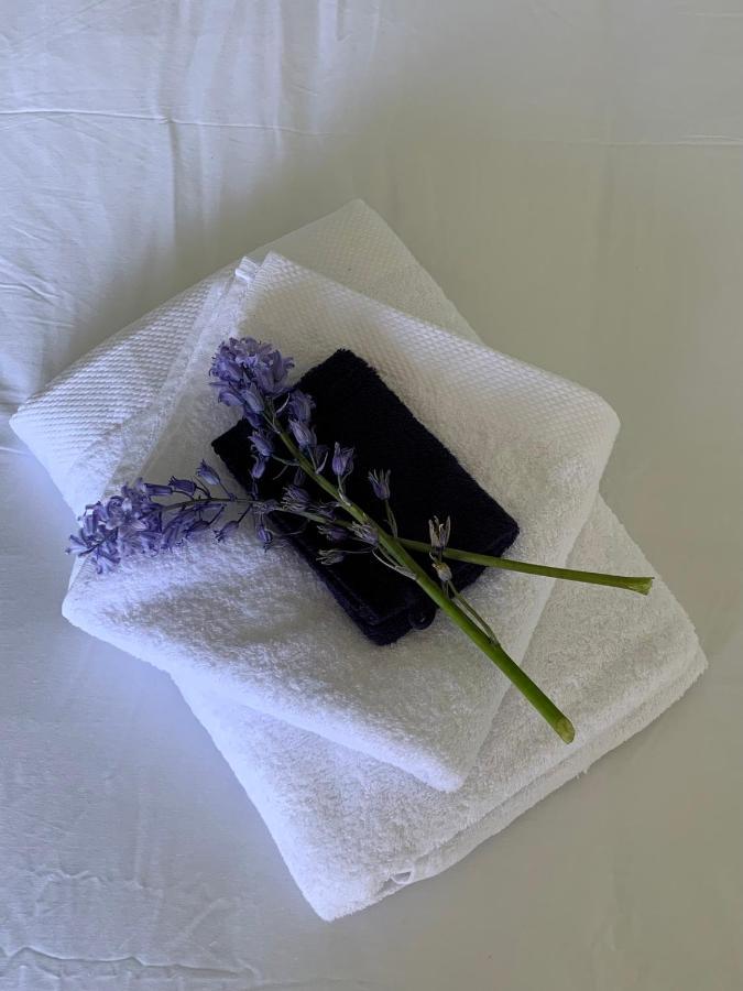Bed and Breakfast Haarles Landleven Экстерьер фото